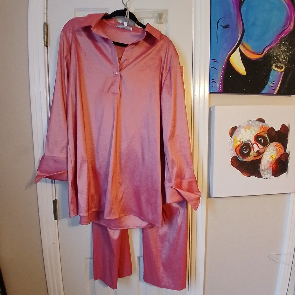 Preston & York Women's 2 Piece Suit Rose XL Top 12 Pant Shimmer
